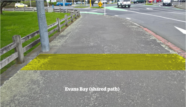 Evans Bay shared path